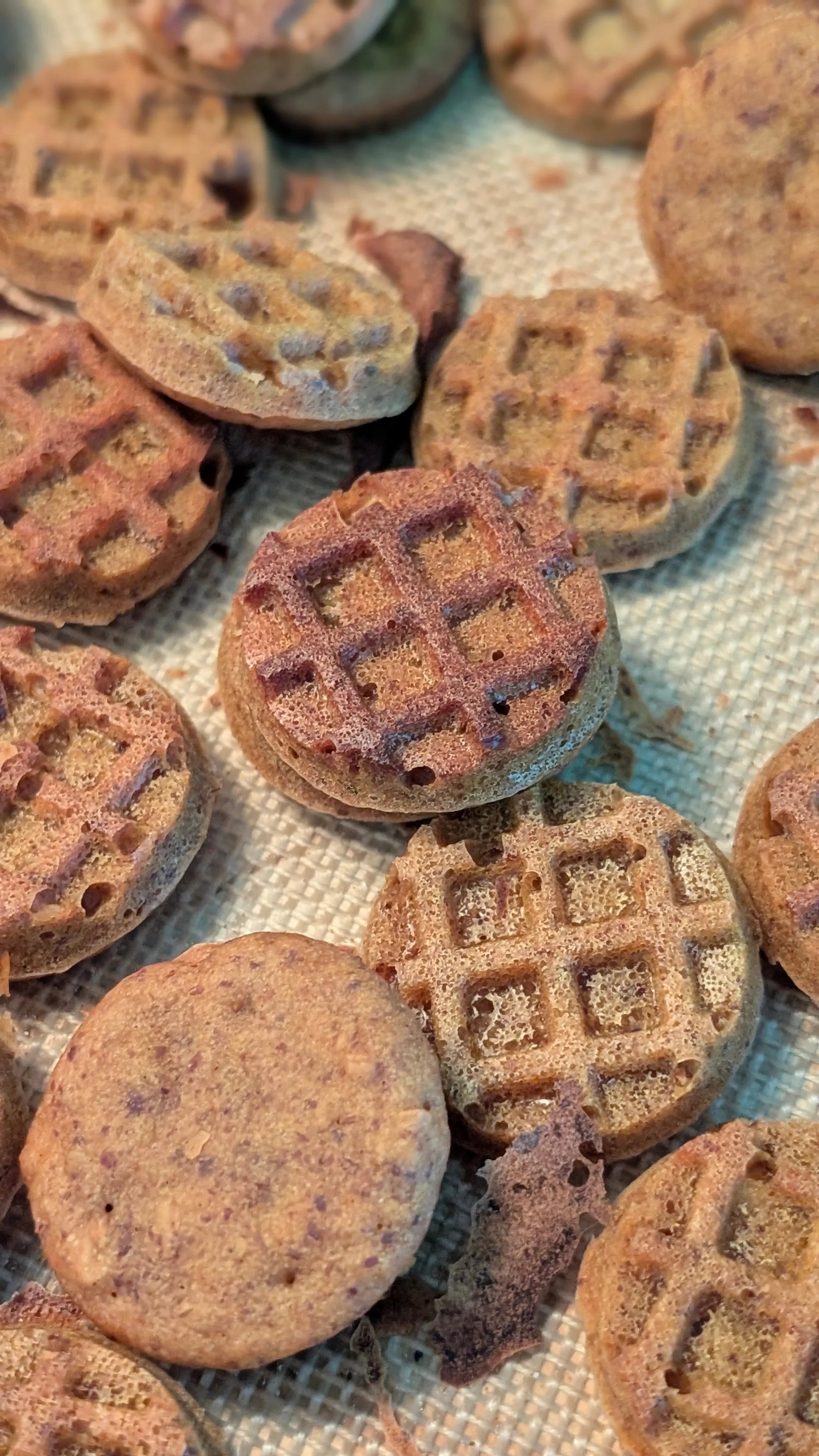 Chester Peanut Butter Waffle Dog Treats with Glucosamine